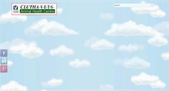Desktop Screenshot of cluthavets.co.nz